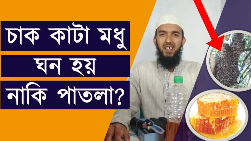 গাছের চাক কাটা মধু ঘন হয় নাকি পাতলা