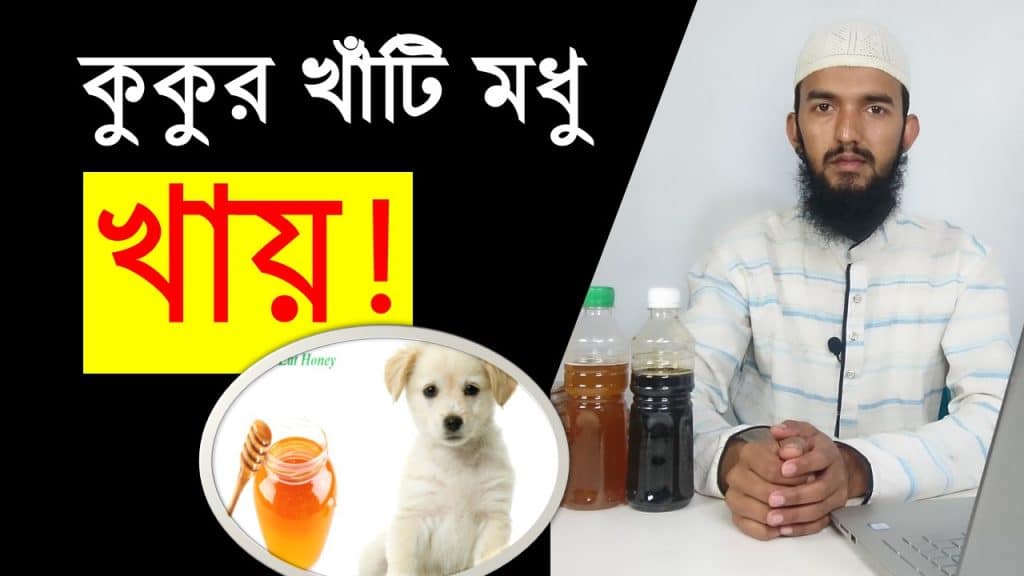 কুকুর খাঁটি মধু খায়