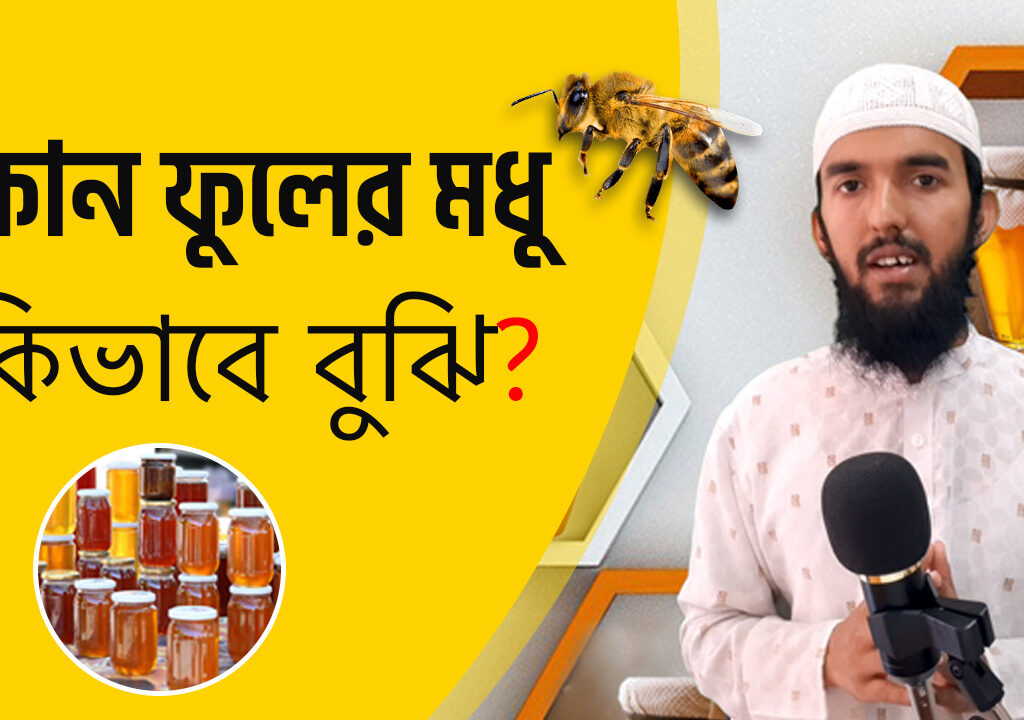 মধুর নাম করণ কিভাবে করা হয়?, মধু আল-আমিন, khati modhu