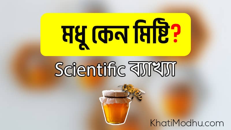 Read more about the article মধু কেন মিষ্টি? Scientific ব্যাখ্যা জানুন